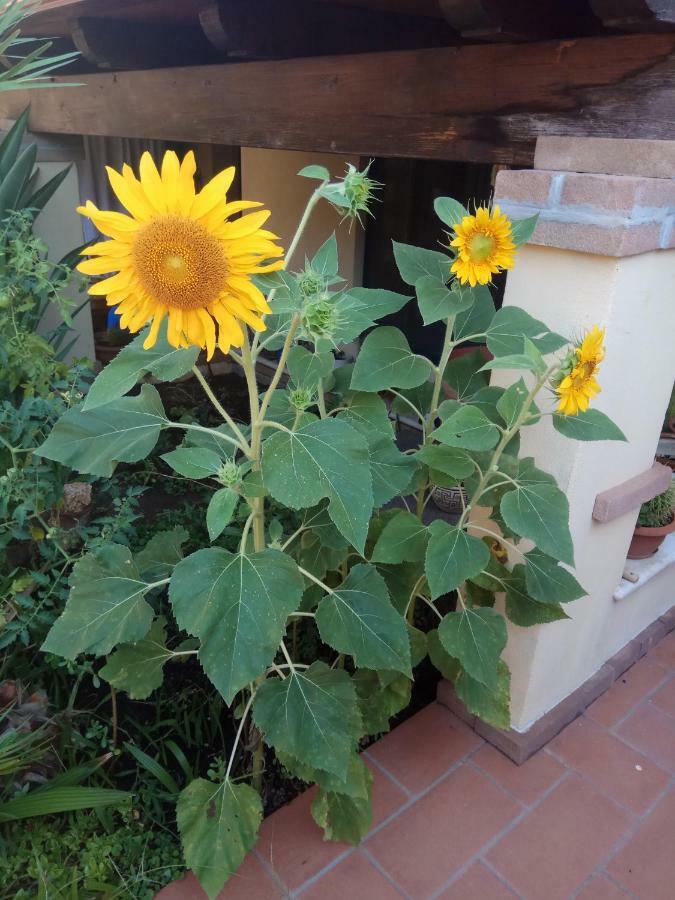 Appartamento In Zona Residenziale Orosei Luaran gambar