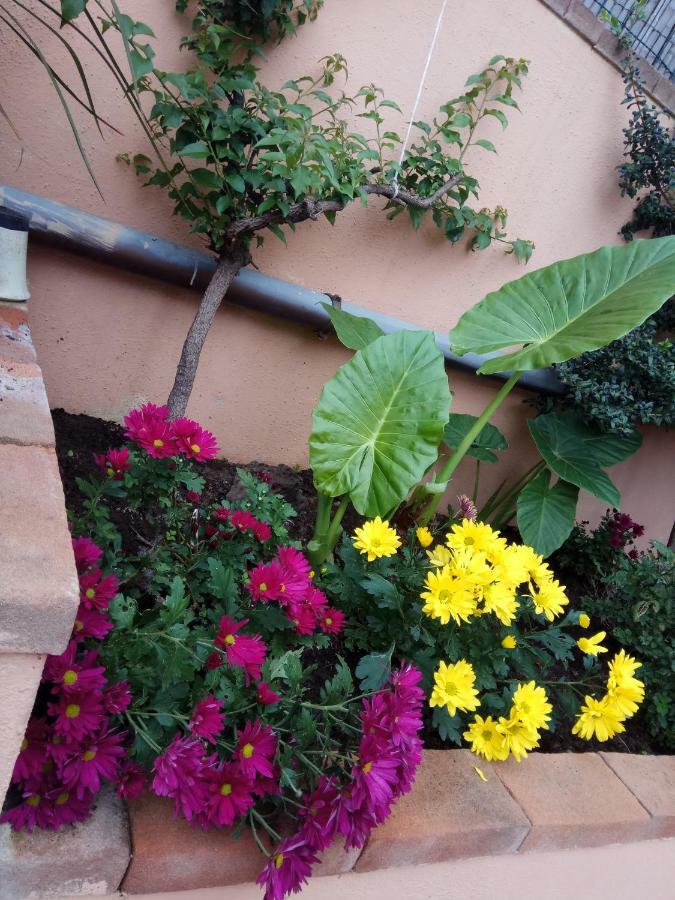 Appartamento In Zona Residenziale Orosei Luaran gambar