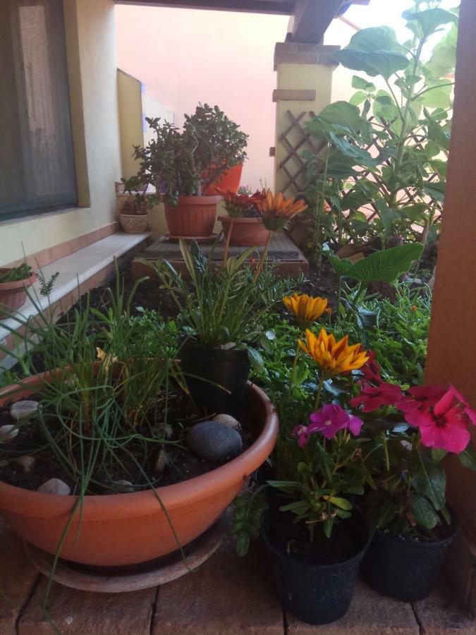 Appartamento In Zona Residenziale Orosei Luaran gambar
